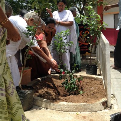Tree_plantation_oldage