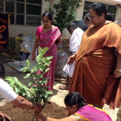 Tree_plantation_oldage