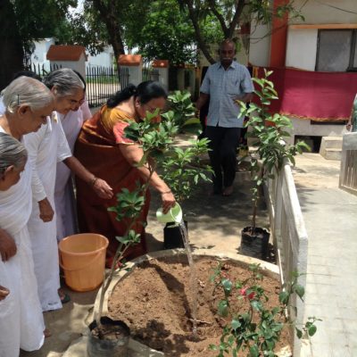 Tree_plantation_oldage